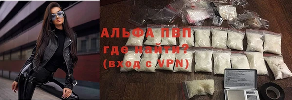 стаф Дмитровск