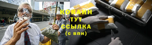 МДПВ Дмитров