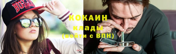 дурь Дмитриев