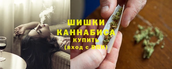 стаф Дмитровск