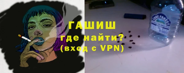 стаф Дмитровск