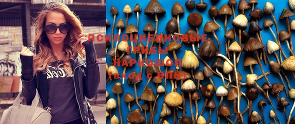 дурь Дмитриев