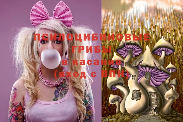 дурь Дмитриев
