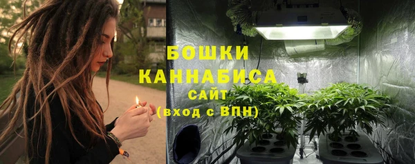 дурь Дмитриев