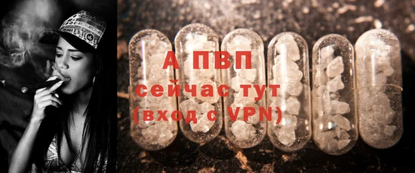 стаф Дмитровск