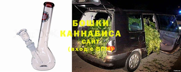 дурь Дмитриев